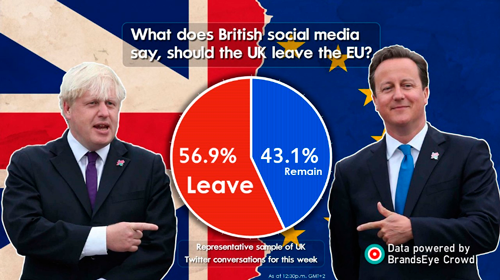 British social media in favour of leaving the EU