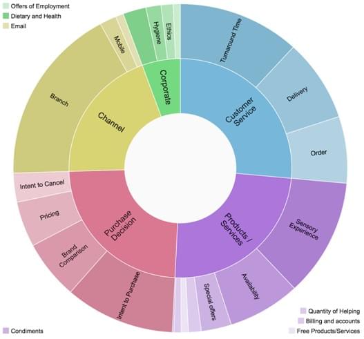 DataEQ topic wheel highlights key topics and subtopics for a global fast food chain